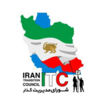 شورای مدیریت گذار